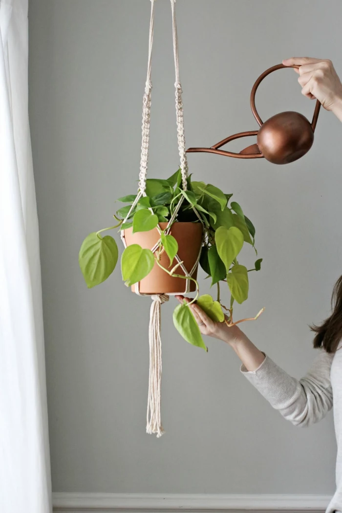 how to make a hanging planter, ceramic pot hanging from the ceiling, water poured over the plant