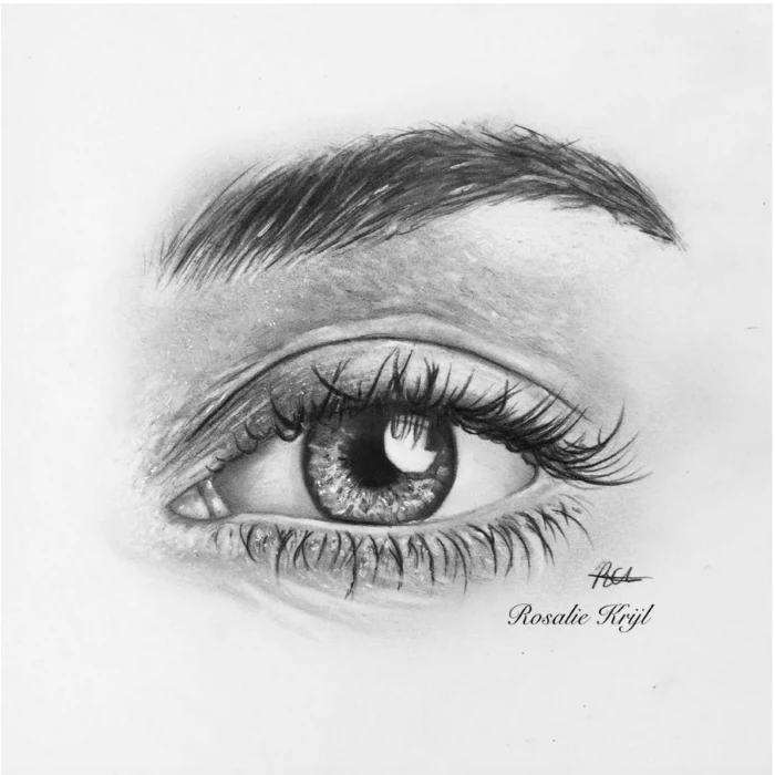 realistic drawing of an eye with thick eyebrow, black pencil sketch on white background, cartoon eyes drawing