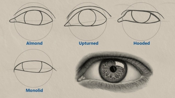 different shapes of eyes, cartoon eyes drawing, almond and upturned, hooded and monolid, black pencil sketch on white background