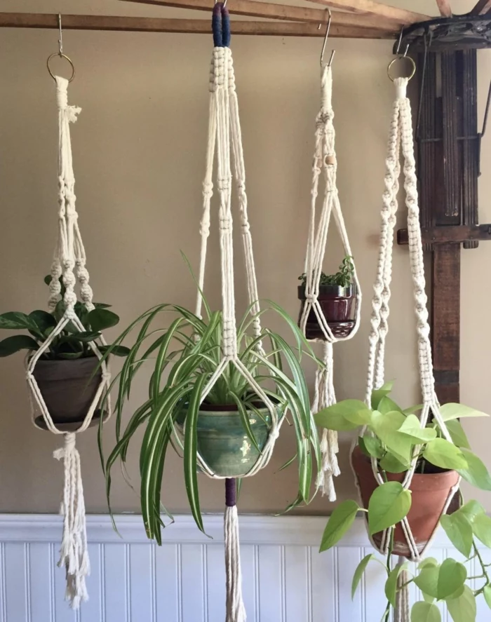 four different plants hanging from wooden rack, beige wall in the background, how to make a hanging planter