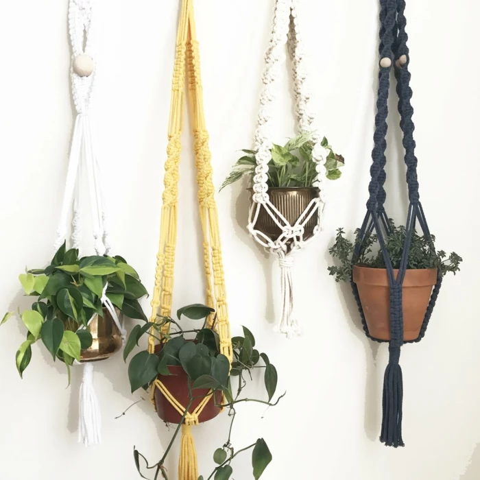 four different plants hanging from white wall, macrame plant hanger tutorials, macrame in white black and orange