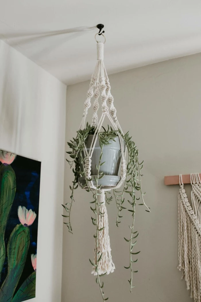 plant in grey ceramic pot, hanging from the ceiling, 5 minute macrame plant hanger, white wall background