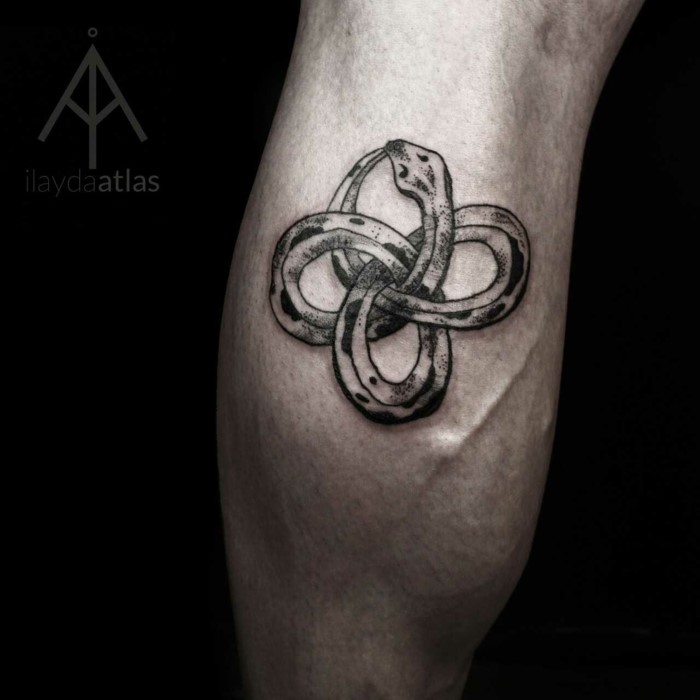 What is the meaning of an ouroboros tattoo? | Architecture ...