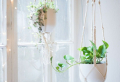 How to make a macrame plant hanger – step-by-step tutorials