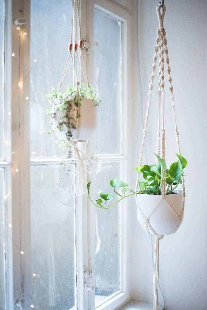 potted plants hanging from the ceiling, how to make a macrame plant hanger, fairy light around the windows
