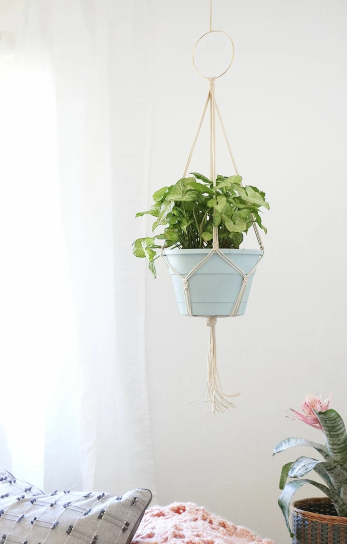 plant hanging from the ceiling, easy macrame plant hanger, hanging over a living room sofa