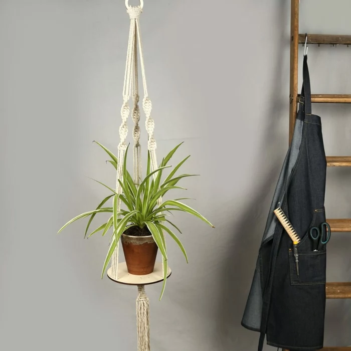 ceramic pot with plant inside hanging from the ceiling, easy macrame plant hanger, wooden ladder on the side
