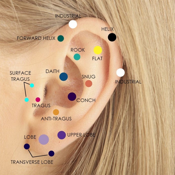 different types of ear piercings, helix piercing, graffic showing different parts of the year, blonde woman