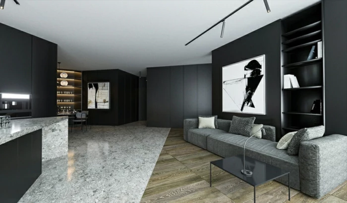 black walls with artwork on them, contemporary living room, mixed granite and wooden floor, grey sofa