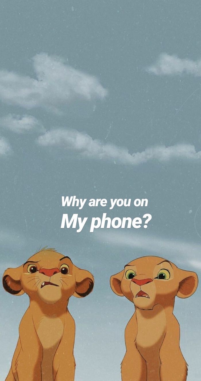 funny cute wallpapers for phones