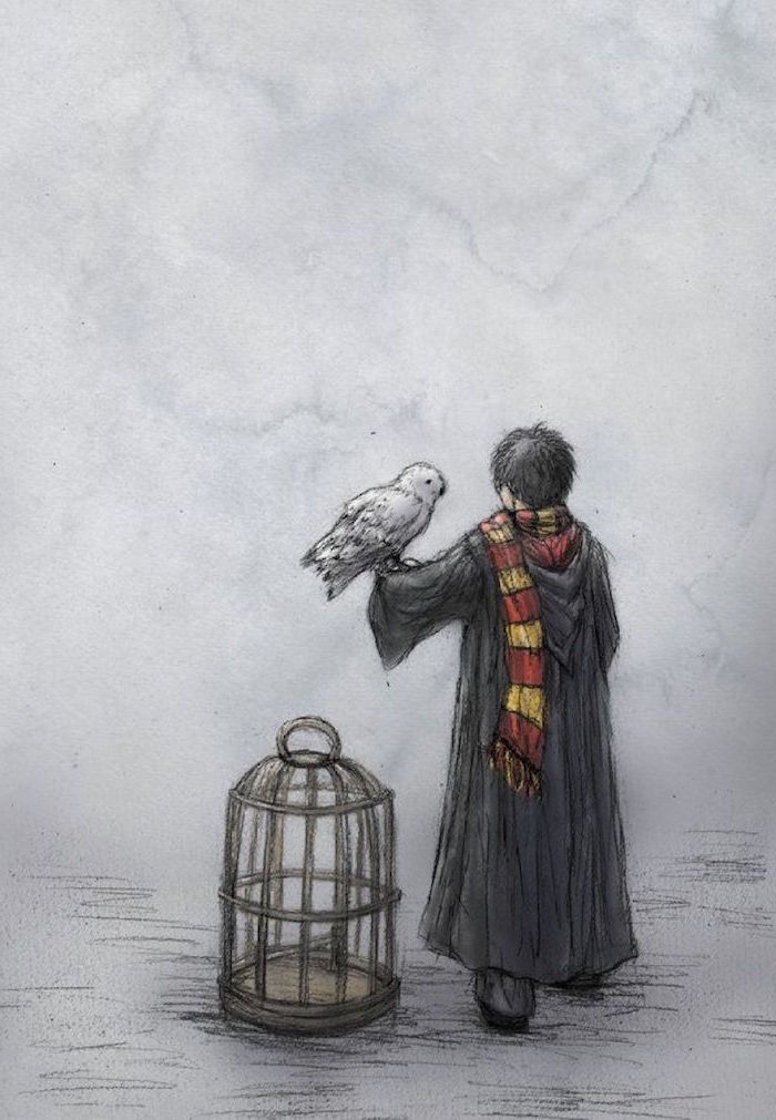 harry potter creatures drawings