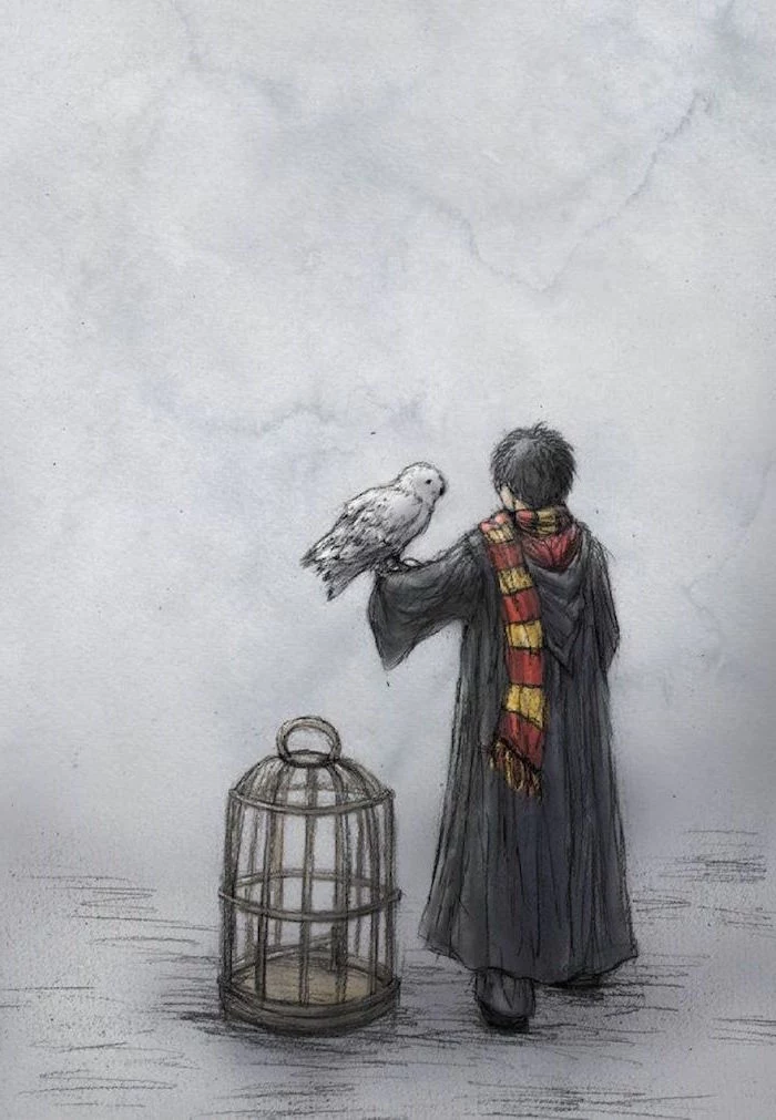 harry wearing black robe, gryffindor scarf, harry potter drawings, hedwig on his arm, bird cage next to him