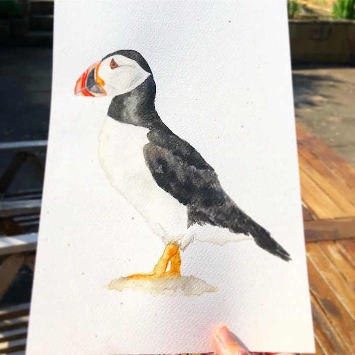 black and white bird, beak in red orange and black, painted on white background, watercolor painting for beginners