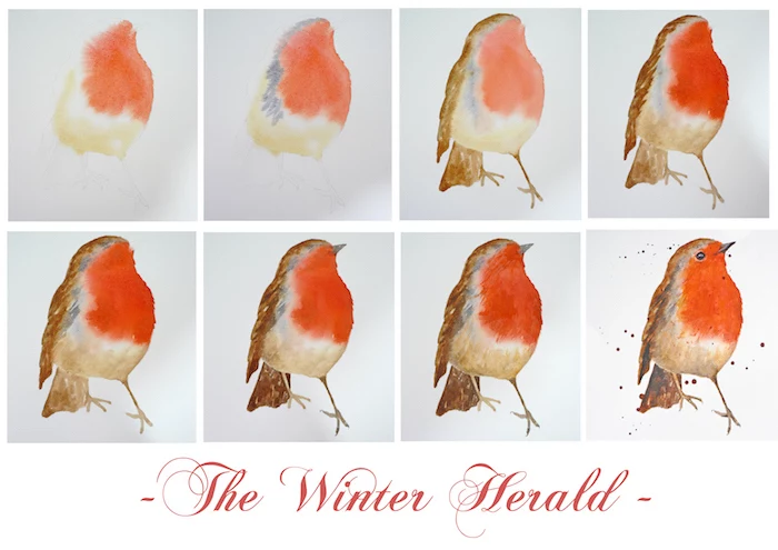 the winter herald, how to draw a robin bird, easy paintings for beginners, step by step diy tutorial in eight steps