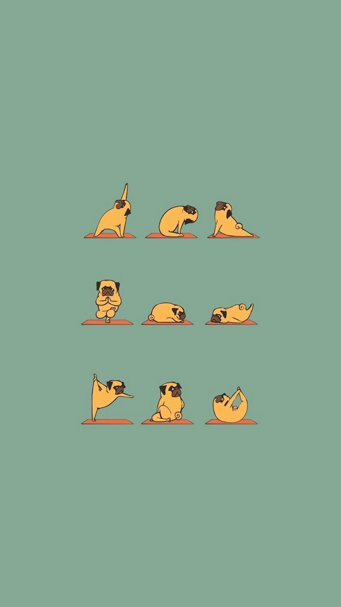 drawing of a pug doing different yoga poses on green background cute pictures for wallpaper