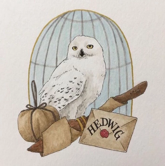 drawing of hedwig, hermione granger drawing, colored drawing, flying broom and letter at the front
