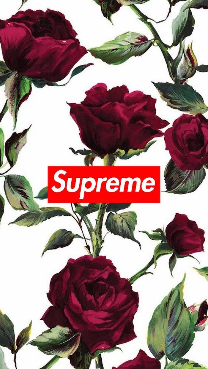drawings of red roses on white background with red and white supreme logo at the center cool supreme backgrounds