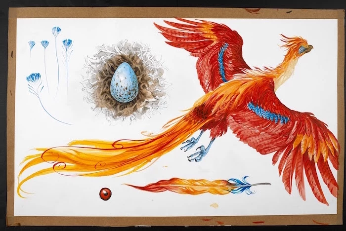 fawkes the phoenix, colored drawing, hogwarts drawing, white background, colorful feather