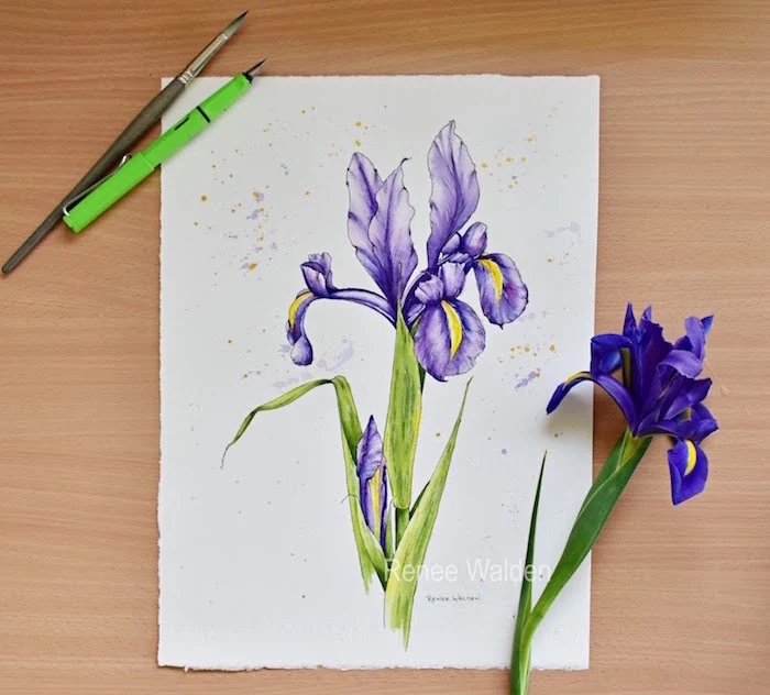 painting of an orchid, painted with purple and green watercolor, easy watercolor painting ideas, white background