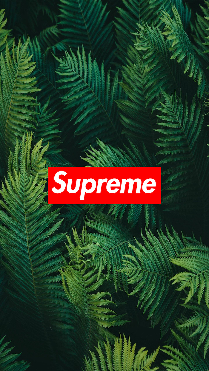 2000x1500  supreme wallpaper free hd widescreen  Coolwallpapersme