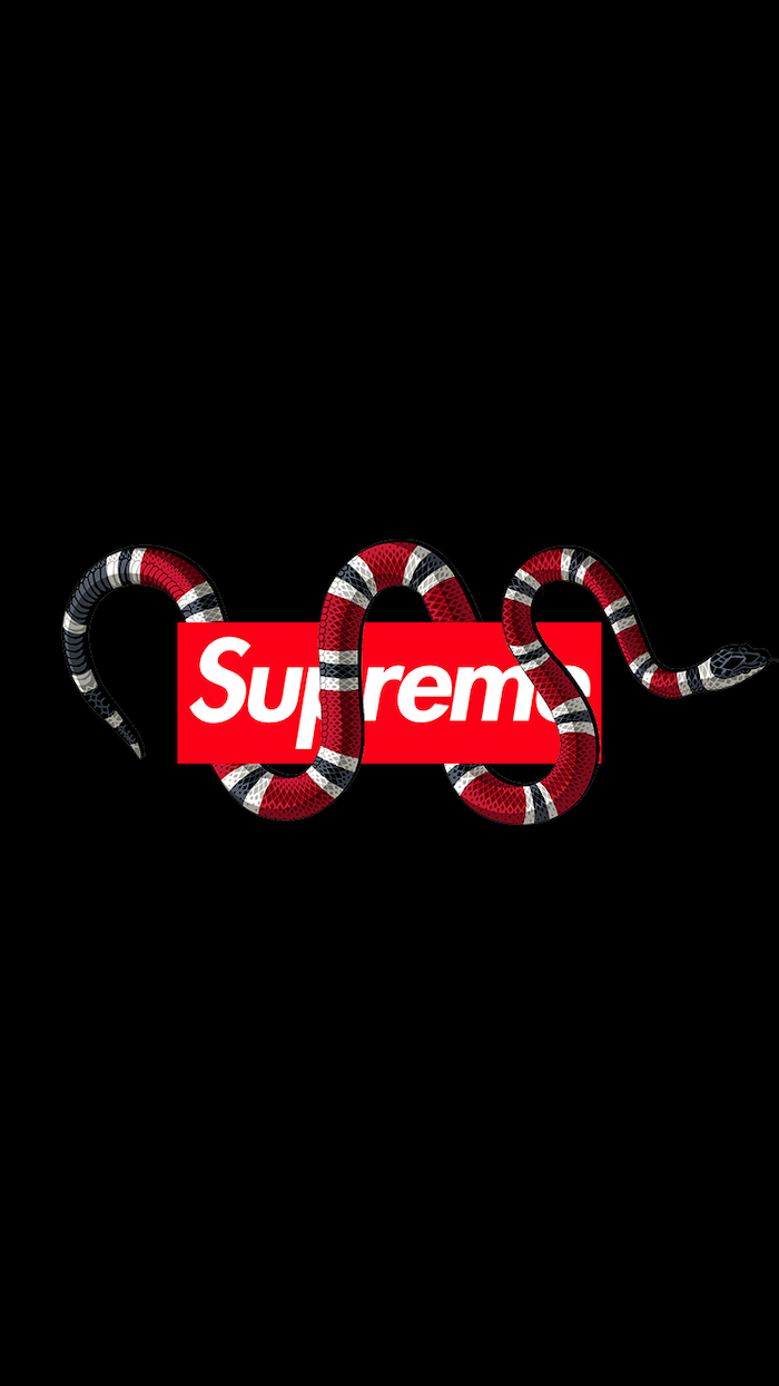 gucci x supreme logo in red and white wrapped with snake in red white and black supreme logo wallpaper black background