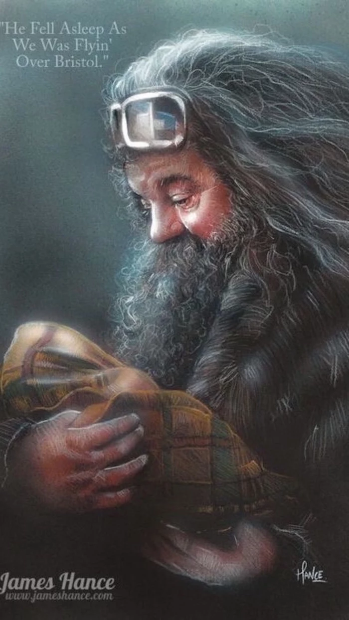 hagrid wearing goggles, holding baby harry, wrapped in blanket, cartoon harry potter characters, colored drawing