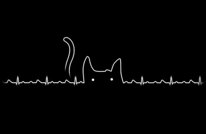 heartbeat line funny screensavers white cat outline on black background