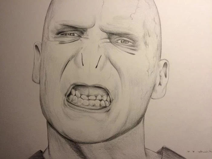 portrait drawing of voldemort, how to draw hermione granger, black and white pencil drawing