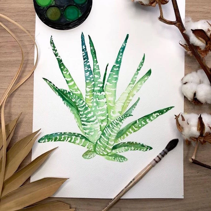 painting of an aloe vera plant, easy watercolor paintings for beginners, painted on white background