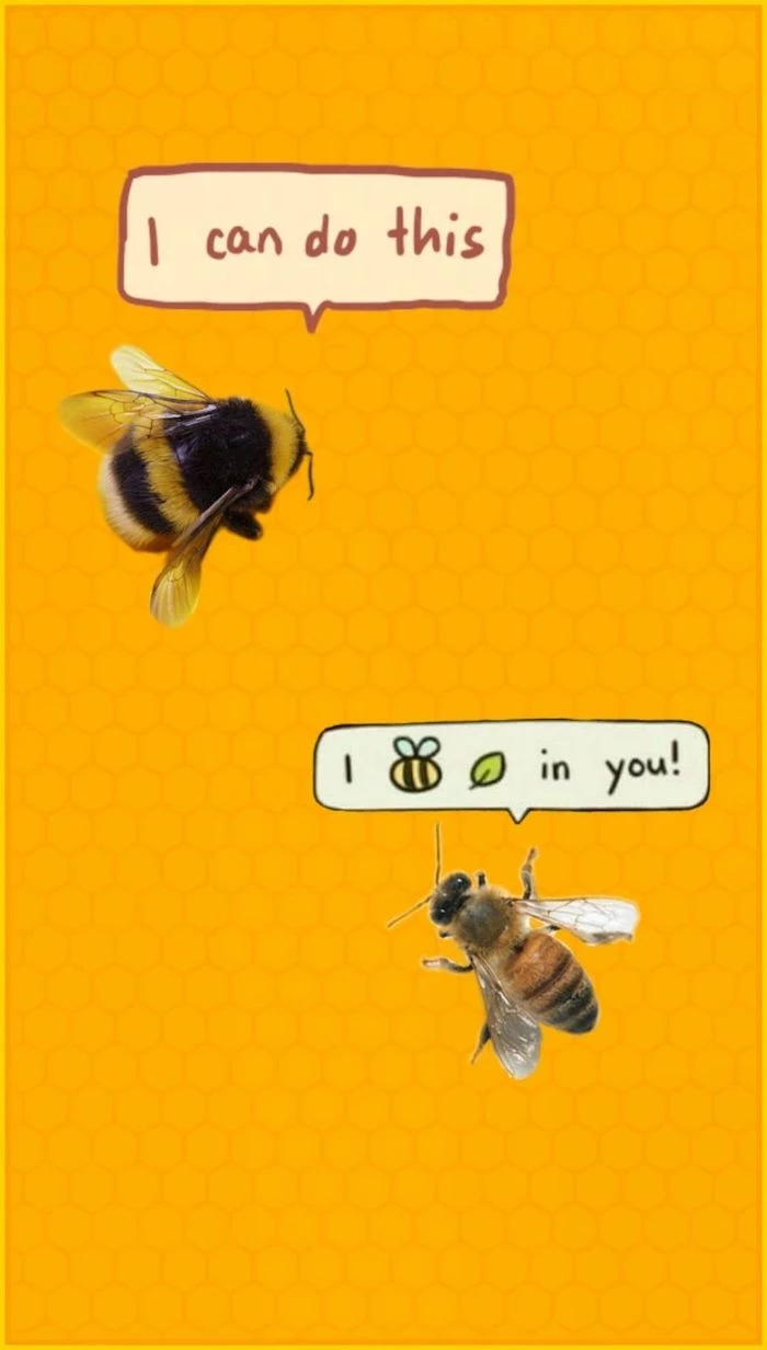 i can do this i believe in you written in speech bubbles funny computer wallpaper two bees on yellow background