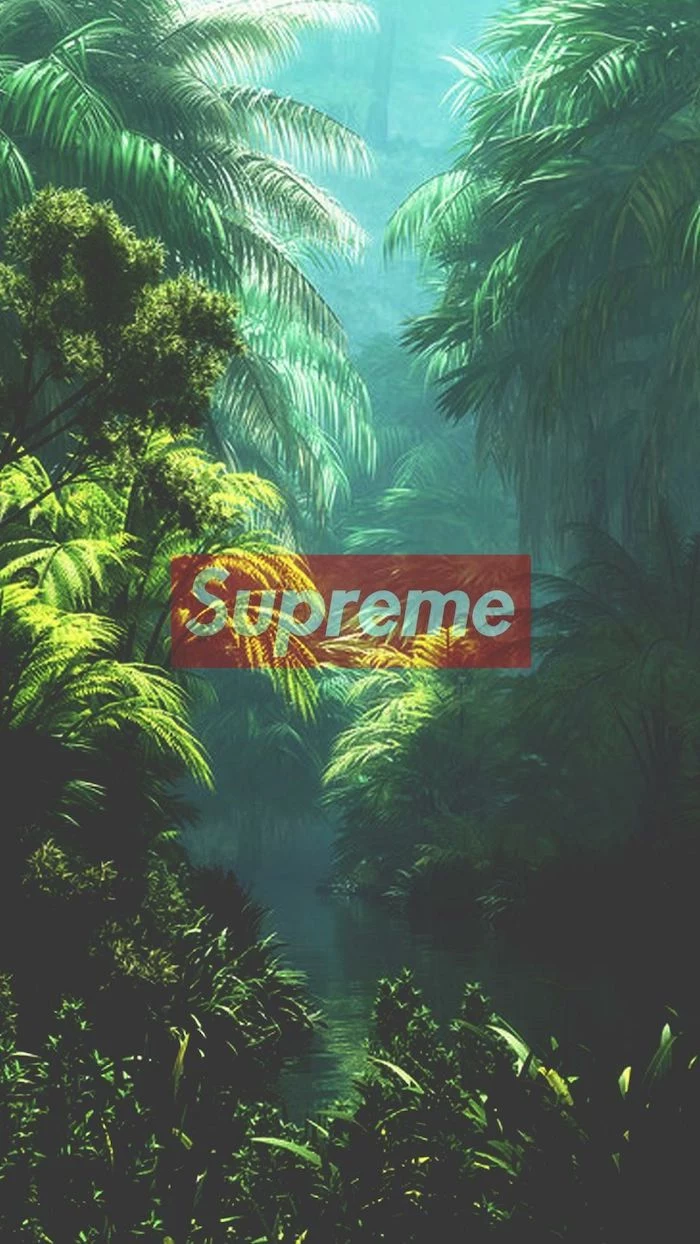 jungle landscape palm trees and bushes for background supreme wallpaper girl supreme logo in red and white at the center