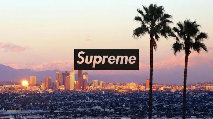 los angeles skyline two tall palm trees at the forefront supreme wallpaper iphone supreme logo at the center in black and white