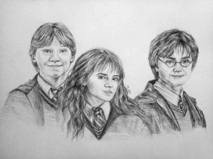 ron weasley, hermione granger, harry potter, how to draw harry potter characters, portrait drawing, black and white pencil drawing