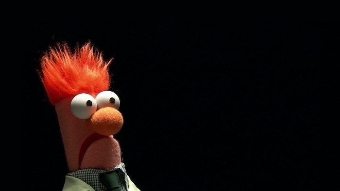 sesame street character puppet looking surprised funny desktop backgrounds black background