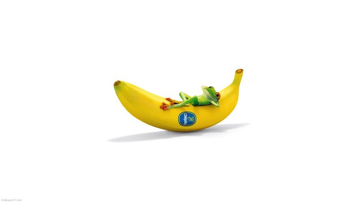 small green frog lieing on a banana funny screensavers white background