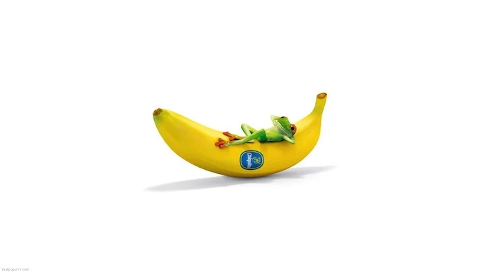 small green frog lieing on a banana funny screensavers white background