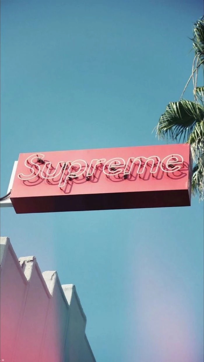 supreme wallpaper girl photo of a blue sky with tall palm tree pink supreme sign