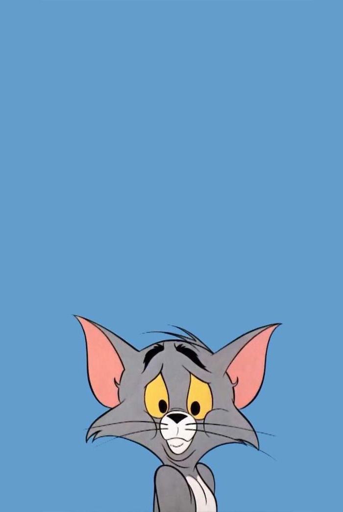 tom from tom and jerry looking confused funny computer backgrounds blue background