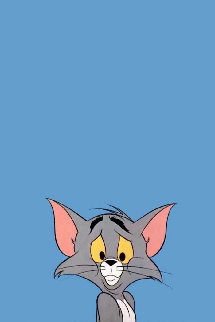 tom from tom and jerry looking confused funny computer backgrounds blue background
