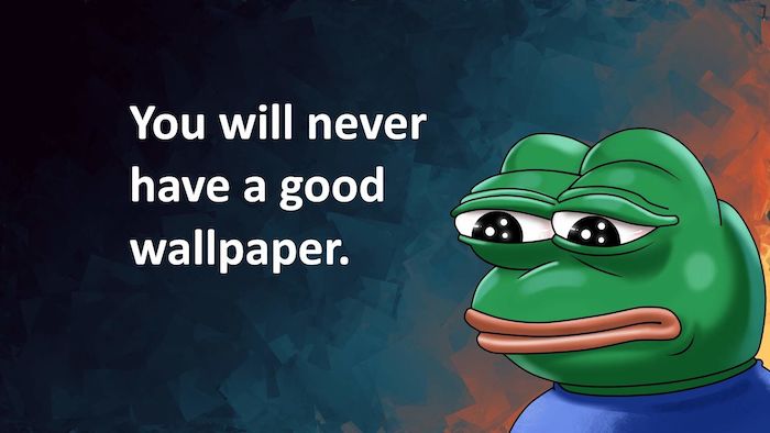 you will never have a good wallpaper funny wallpapers meme with a frog next to it black blue and orange background