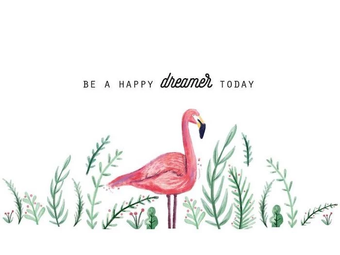 be a happy dreamer today cool wallpapers for girls drawing of pink flamingo green leaves white background