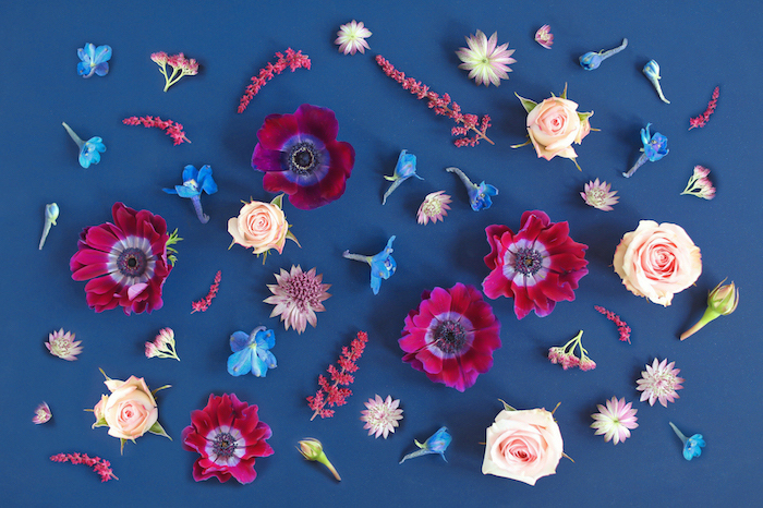 blue background vintage flower background pink blue purple white flowers arranged on blue surface