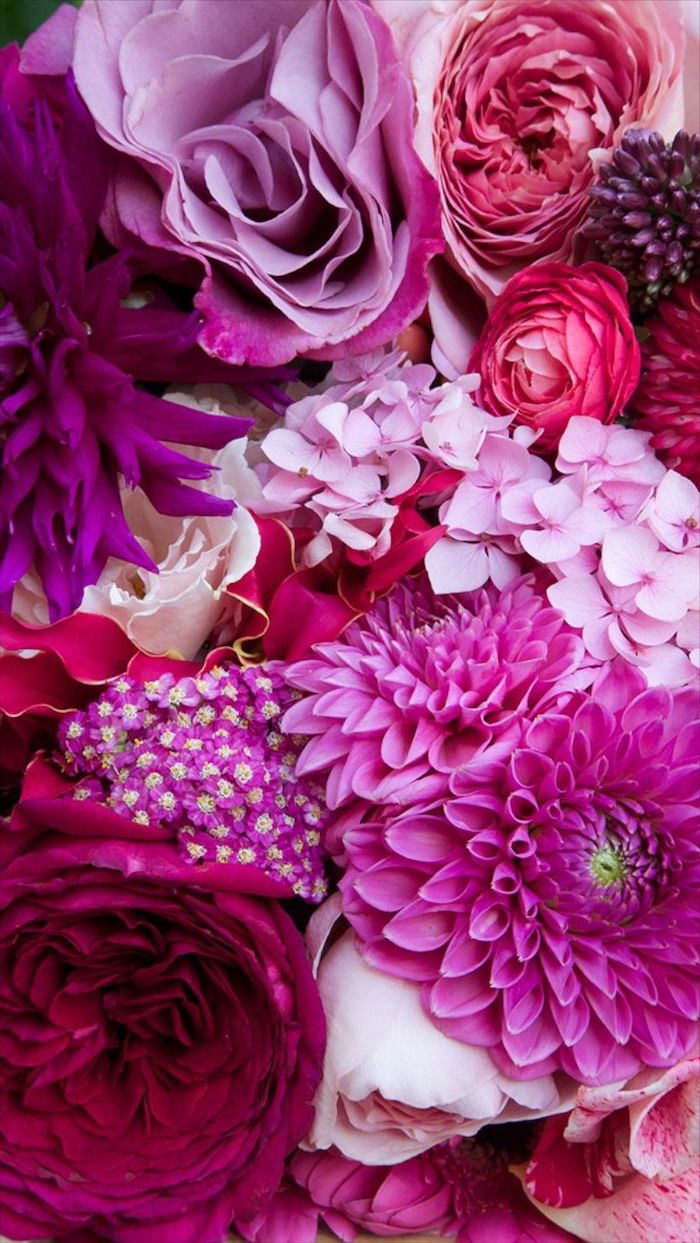 close up photo of different flowers floral iphone wallpaper in different shades of pink purple