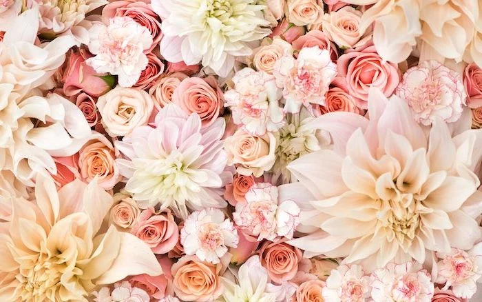 close up photo of flower arrangement flower background images roses flowers in different shades of pink white