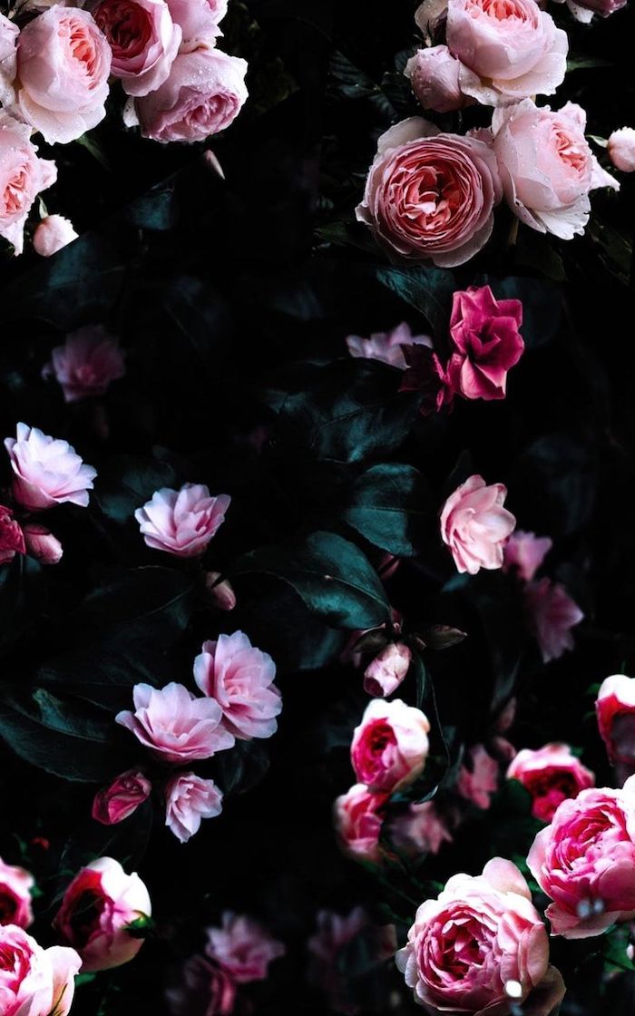 Choose a Floral Background to Decorate Your Screen With