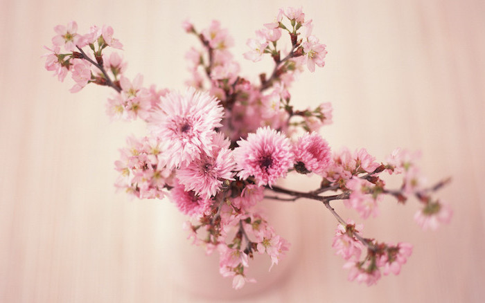 close up photo of pink cherry blossoms on tree branches inside a vase pink background watercolor floral background