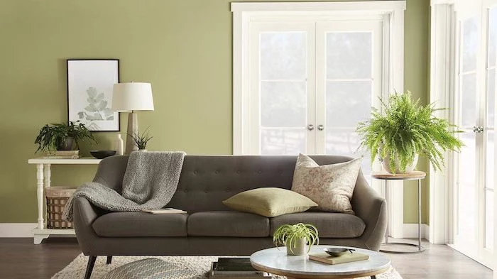dark grey sofa in front of pastel green wall colors that go with grey white carpet on wooden floor
