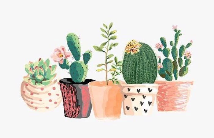 drawing of watercolor potted succulents cute iphone wallpaper pots in orange pink black white background