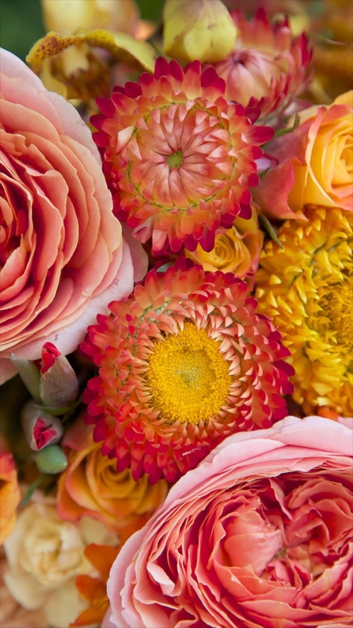flower arrangement with pink orange yellow flowers cute flower wallpapers close up photo