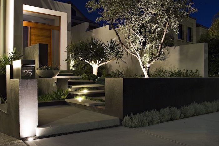 lit tiled staircase leading to wooden door front of house landscaping surrounded bt small bushes and trees succulents